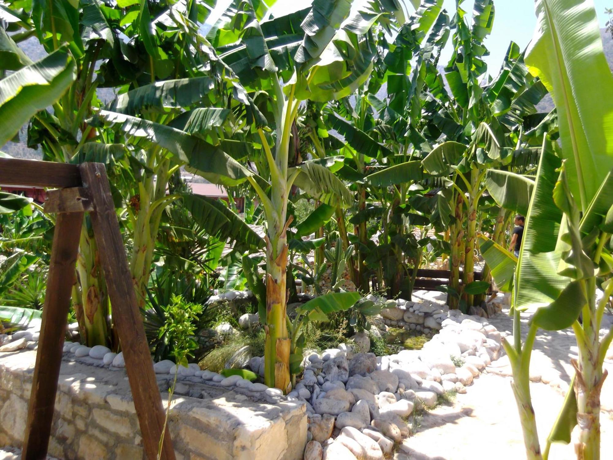מלון דירות Stone Village